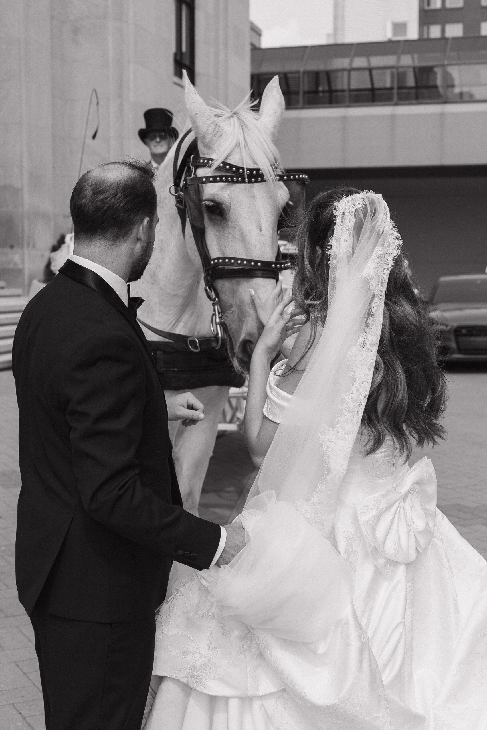Candid wedding photo of a bride and groom petting a white horse after their horse-drawn carriage ride outside the Welsh Auditorium in downtown Grand Rapids, Michigan.